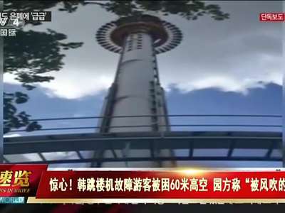 [视频]惊心！ 韩跳楼机故障游客被困60米高空 园方称“被风吹的”
