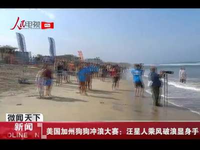[视频]美国加州狗狗冲浪大赛：汪星人乘风破浪显身手