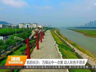 航拍长沙：万绿丛中一点黄 动人秋色不须多