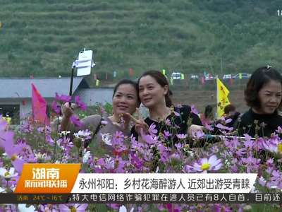 永州祁阳：乡村花海醉游人 近郊出游受青睐