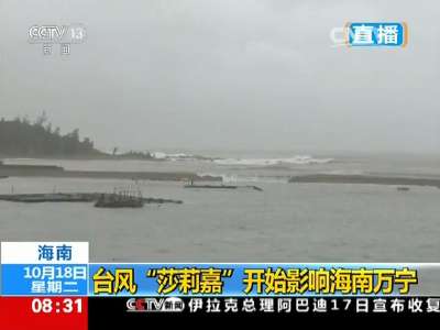 [视频]海南：台风“莎莉嘉”开始影响海南万宁