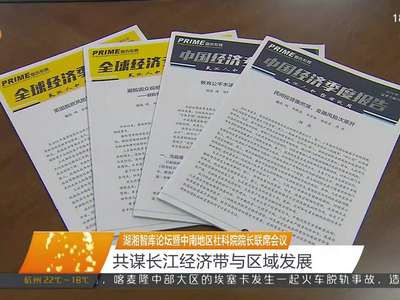 湖湘智库论坛暨中南地区社科院院长联席会议 共谋长江经济带与区域发展