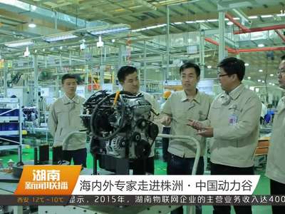 海内外专家走进株洲·中国动力谷