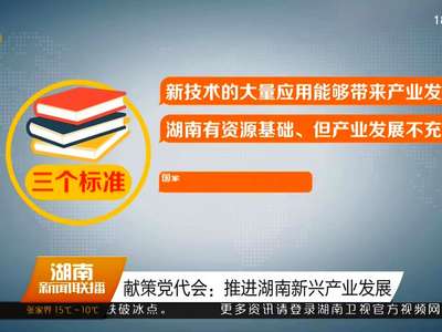 献策党代会：推进湖南新兴产业发展