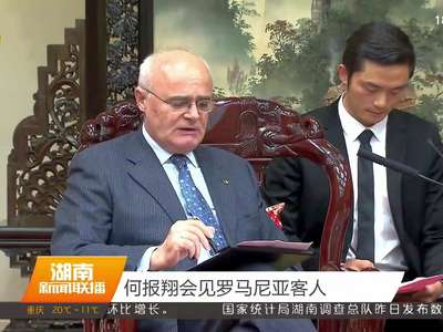 何报翔会见罗马尼亚客人