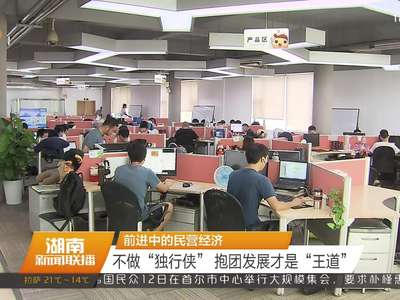 前进中的民营经济：不做“独行侠”  抱团发展才是“王道”