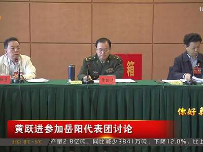 黄跃进参加岳阳代表团讨论
