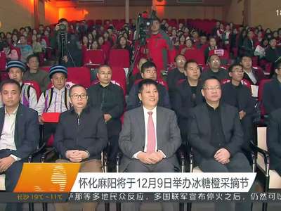 怀化麻阳将于12月9日举办冰糖橙采摘节