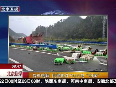 [视频] 民警抓获700只鸡“归案”