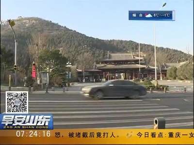 [视频]新式红绿灯 绿灯啥时亮行人说了算