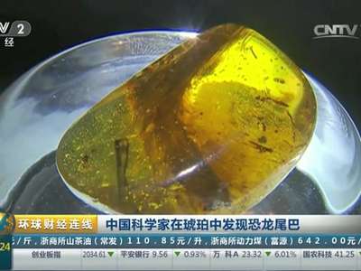 [视频]中国科学家在琥珀中发现恐龙尾巴