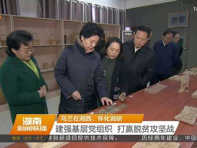 乌兰在湘西 怀化调研 建强基层党组织 打赢脱贫攻坚战