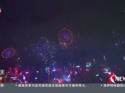 [视频]香港：跨年烟花汇演贺回归20周年