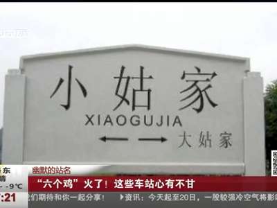 [视频]幽默的站名：“六个鸡”火了！ 这些车站心有不甘
