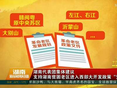 湖南代表团集体建议 支持湖南贫困老区进入西部大开发政策“笼子”