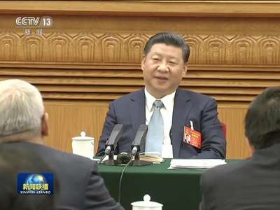 [视频]习近平参加辽宁代表团审议