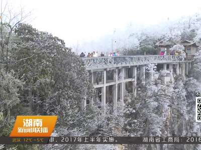 张家界：阳春三月再现雪国风光