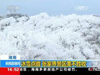 [视频]冰雪点缀 张家界景区美不胜收