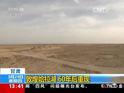 [视频]甘肃：敦煌哈拉湖 60年后重现