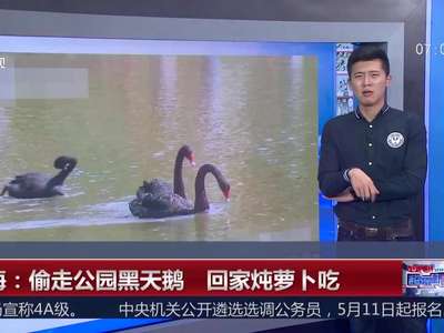 [视频]上海：偷走公园黑天鹅 回家炖萝卜吃