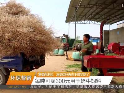 常德西湖区：油菜秸秆再也不用焚烧了 每吨可卖300元用于奶牛饲料