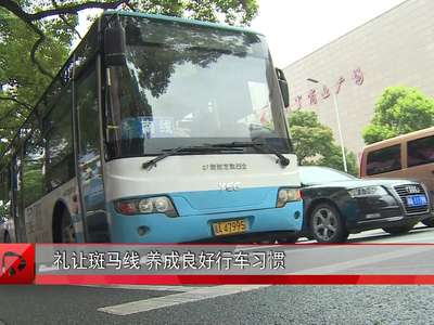 礼让斑马线 养成良好行车习惯