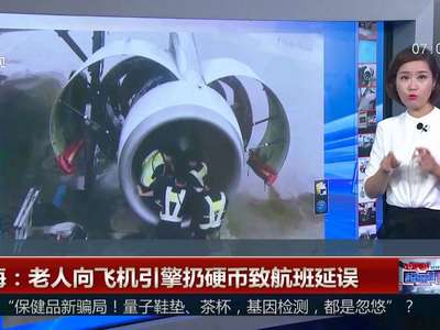 [视频]上海：老人向飞机引擎扔硬币致航班延误
