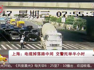 [视频]电缆掉落路中间 交警托举半小时