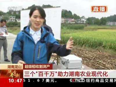 [喜迎十九大·还看今朝]湖南龙山：超级稻收割测产