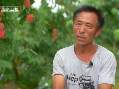 [视频]中国梦365个故事