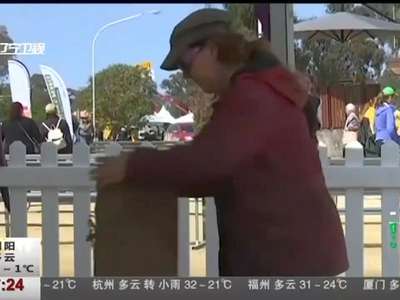 [视频]霸气外露！澳大利亚女子用电锯雕刻“动物世界”