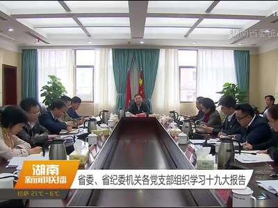 湖南省委、省纪委机关各党支部组织学习十九大报告