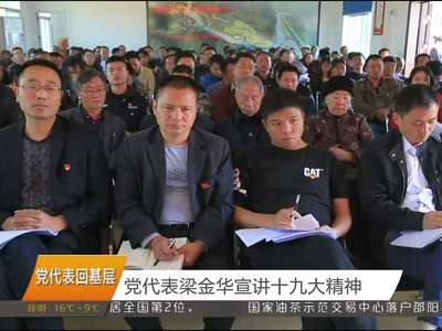 党代表回基层 党代表梁金华宣讲十九大精神