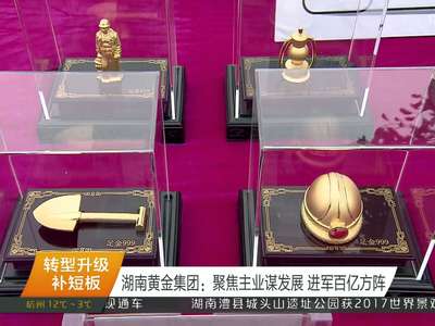 湖南黄金集团：聚焦主业谋发展 进军百亿方阵