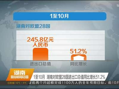 湖南1-10月进出口1892.8亿元 增速排全国第二