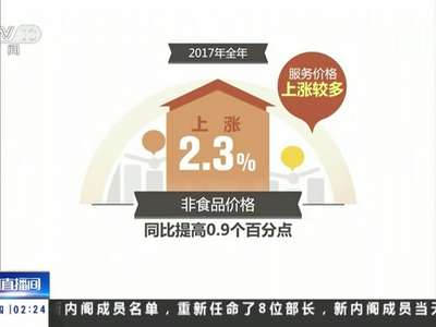 [视频]2017年全年物价发布 食品价格自2003年以来首次下降