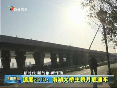 速度2018：南湖大桥主桥月底通车