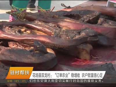 花垣县双龙村：“订单农业”稳增收 农户致富信心足