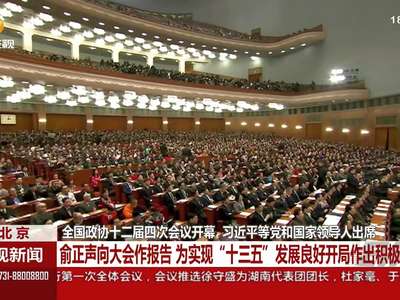 全国政协十二届四次会议开幕 习近平等党和国家领导人出席