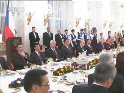 [视频]习近平出席捷克总统举行的欢迎晚宴