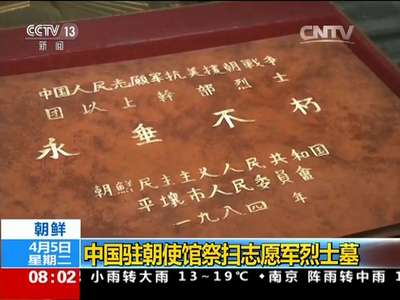 [视频]朝鲜：中国驻朝使馆祭扫志愿军烈士墓