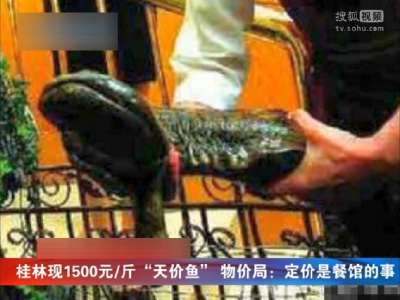 [视频]桂林现1500元斤“天价鱼” 物价局称定价是餐馆的事