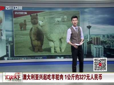 [视频]“神兽”羊驼被搬上澳洲餐桌 一公斤羊驼肉325元