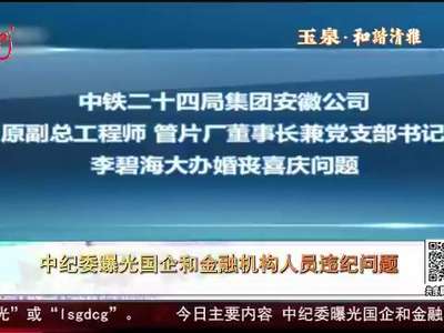 [视频]中纪委曝光国企和金融机构人员违纪问题