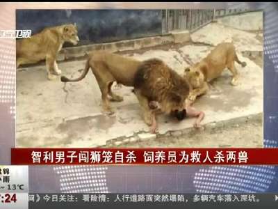 [视频]智利男子闯入狮笼欲自杀 饲养员为救人连杀两兽