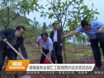 湖南省林业碳汇工程湘西州试点项目启动