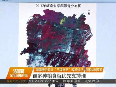 湖南推进农业“三项补贴”改革试点