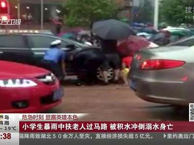 [视频]小学生暴雨中扶老人过马路 被积水冲倒溺水身亡