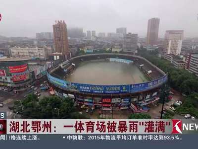 [视频]湖北鄂州：一体育场被暴雨“灌满”
