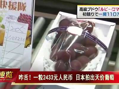 [视频]咋舌！一粒2433元人民币 日本拍出天价葡萄